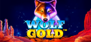 Wolf Gold